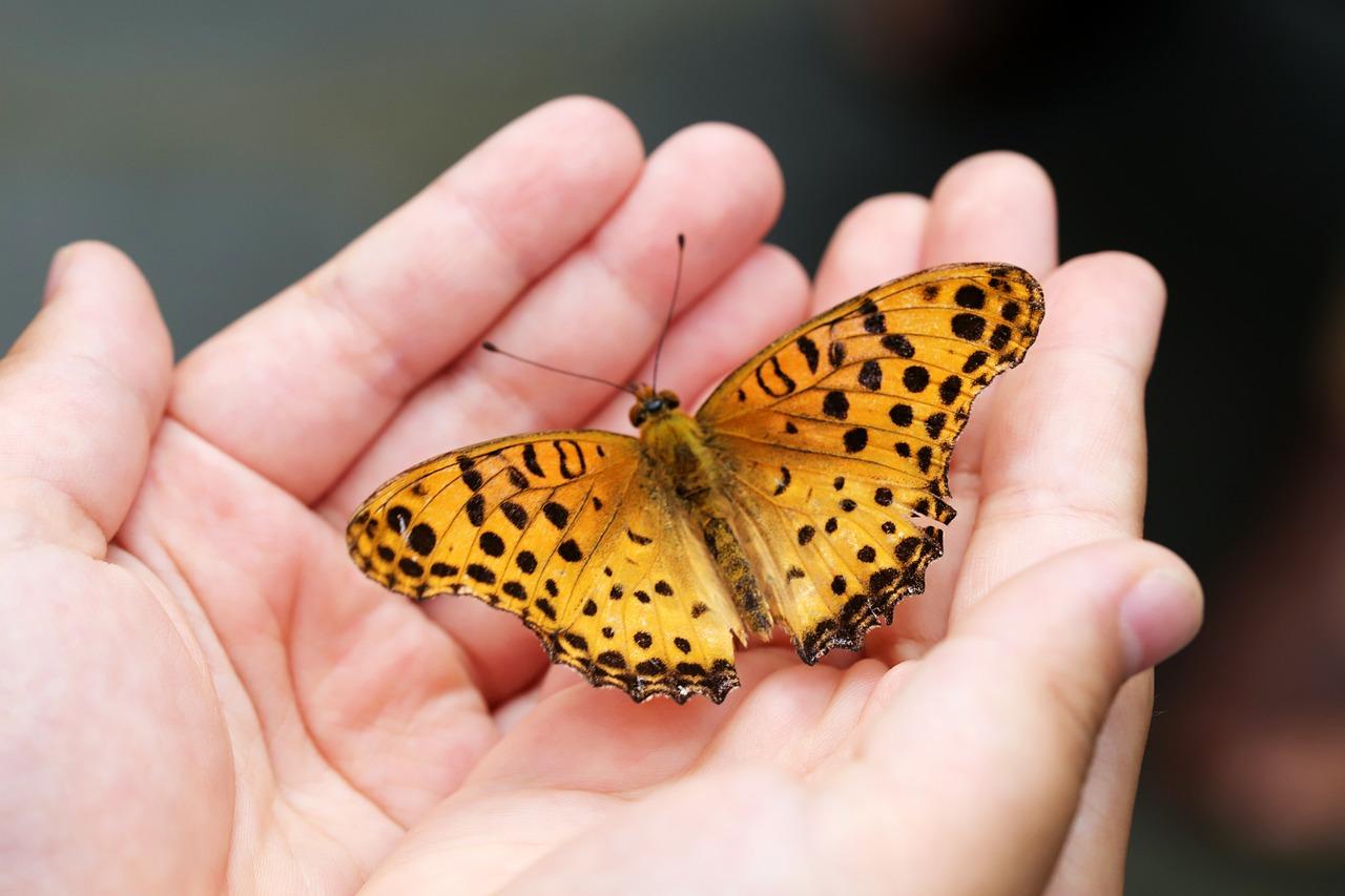 ¿Es necesario revivir traumas para que funcione la biodescodificación?